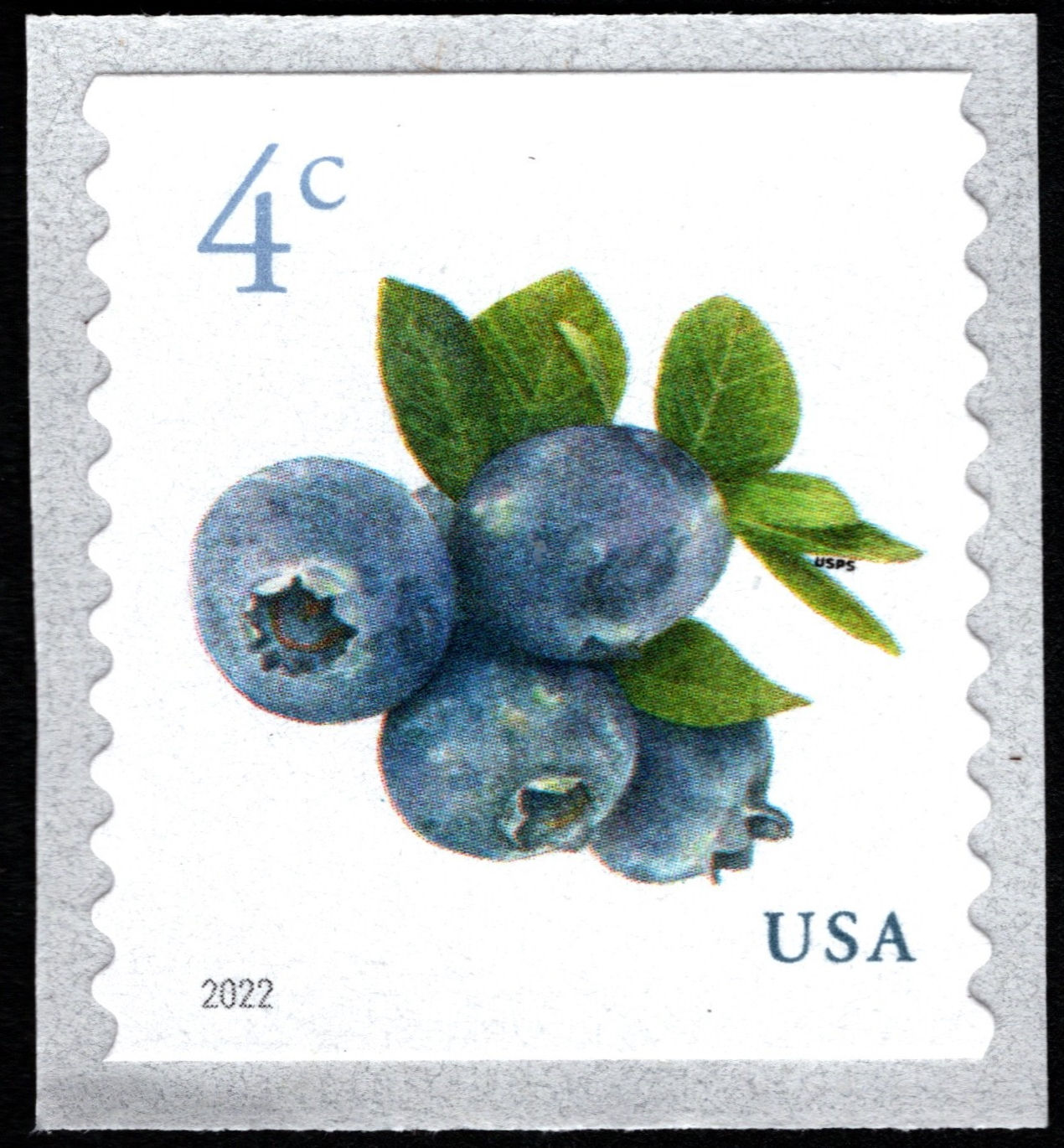 MNH 2022 Blueberries Coil Single 4 Cent Stamp - US SCOTT #5653