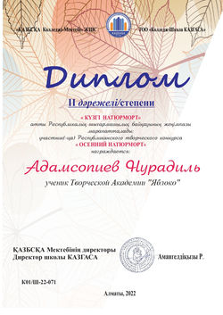 Адамсопиев Нурадиль, 10 лет