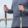 Thumbnail: Drive Summit™ Walking Poles