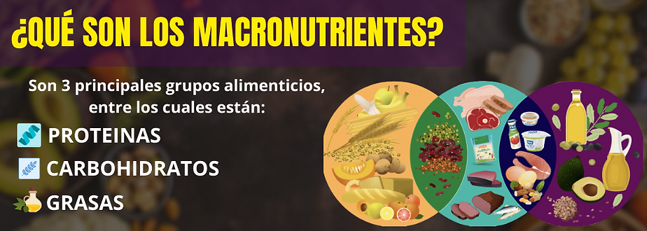 MACRONUTRIENTES BANNER.png