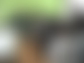 どんぐりレク「Let’sダンス!!」