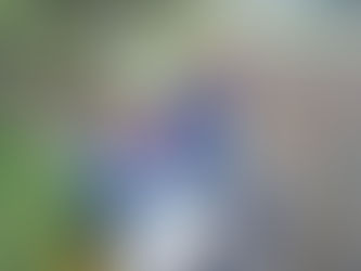 どんぐり農園「畑作業が始まりました!!」