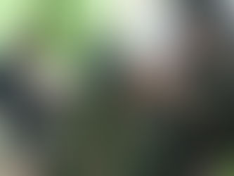 どんぐり12月創作活動「クリスマス飾り」