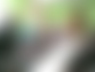 どんぐりレク「風船バレー編!!」