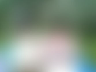 どんぐり行事「続・花見行きました!!」