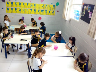 Plantio de Feijão
