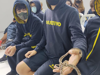 Zoologia - Serpentes