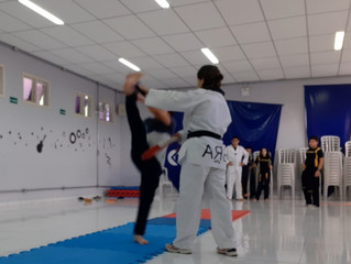 Taekwondo Unidade Jandaia