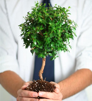 Professional Growth