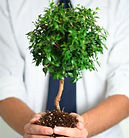Professional Growth