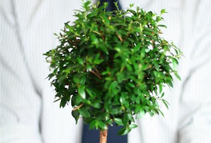Professional Growth