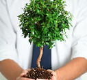Professional Growth