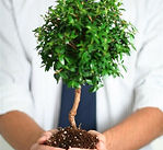Professional Growth