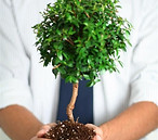 Holding Small Tree