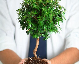 Professional Growth