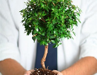 Professional Growth 