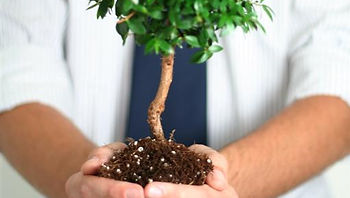 Professional Growth