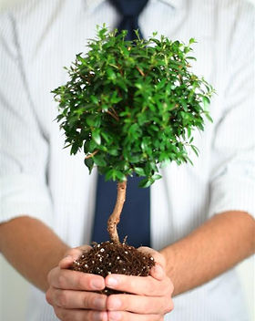 Professional Growth