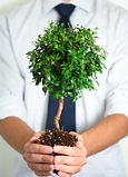 Professional Growth