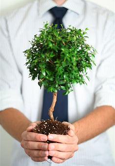 Professional Growth