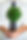 Professional Growth