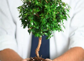 a man with a small tree