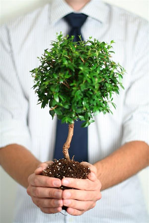 coaching rouen relaxation rouen méditation rouen sophrologie rouen