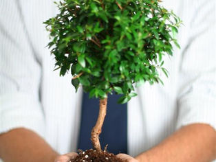 Adoptez des éco-gestes au quotidien et préservez ainsi l'environnement !