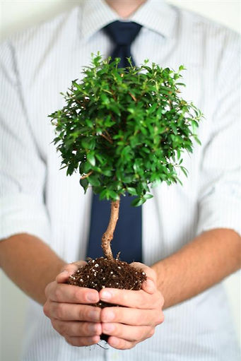 Marketing and Sales Check-Up Chevalier Consulting