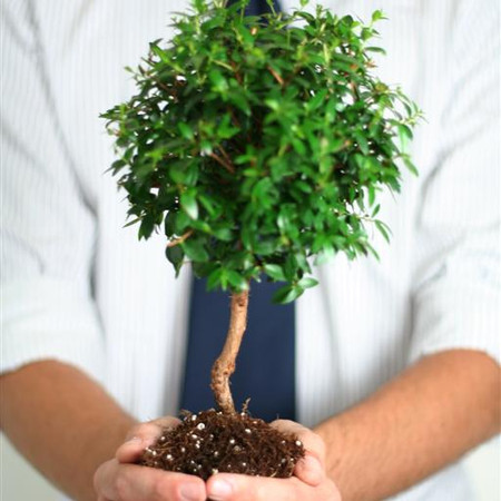 Professional Growth