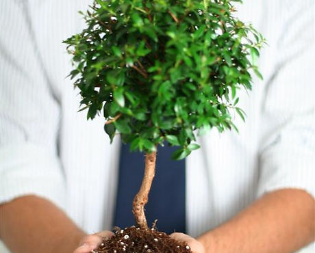 Professional Growth 
