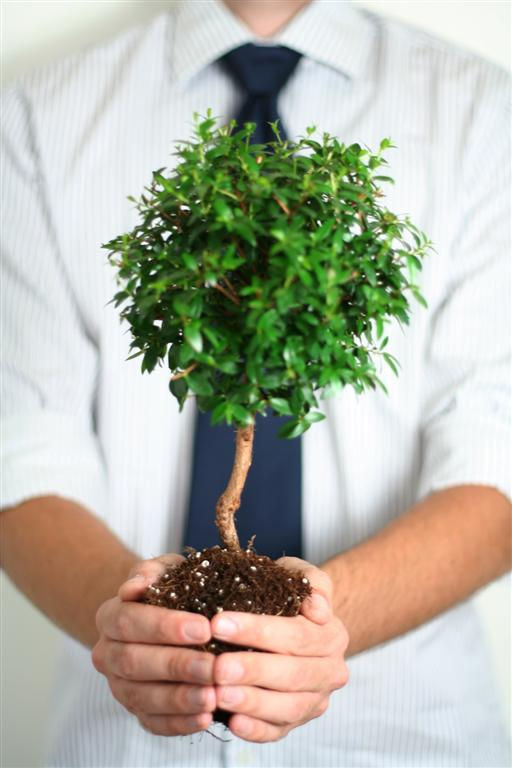 Profesyonel gelişim