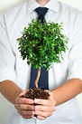 Professional Growth