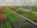 Aquafleur_1500x2000px-37-1024x768.jpg
