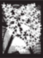 q6s (3)