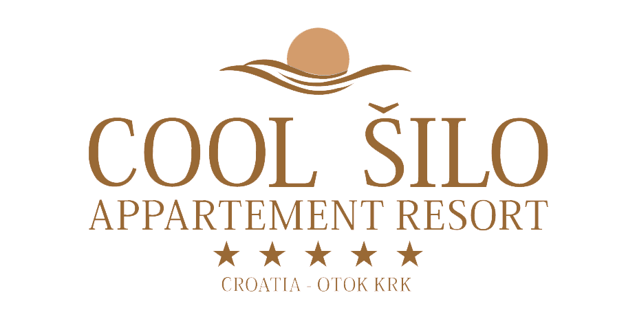 Logo Cool Silo.png