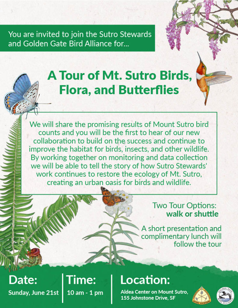 Mt Sutro Walk with the Golden Gate Bird Alliance and Sutro Stewards