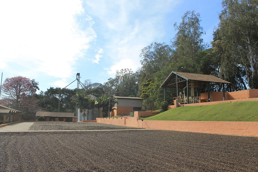 Miniaturbild: BIO Fazenda / Brasilien 100% Arabica