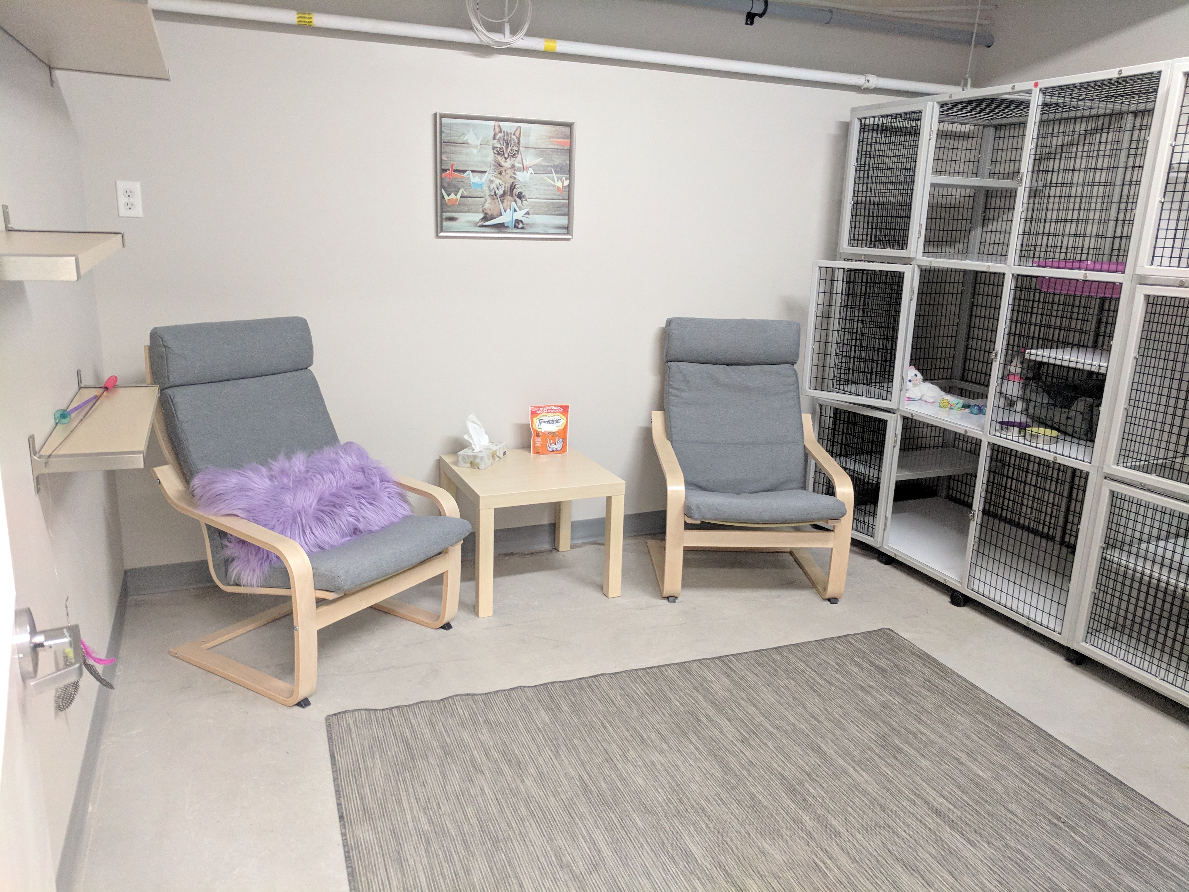 IHO Cat Room