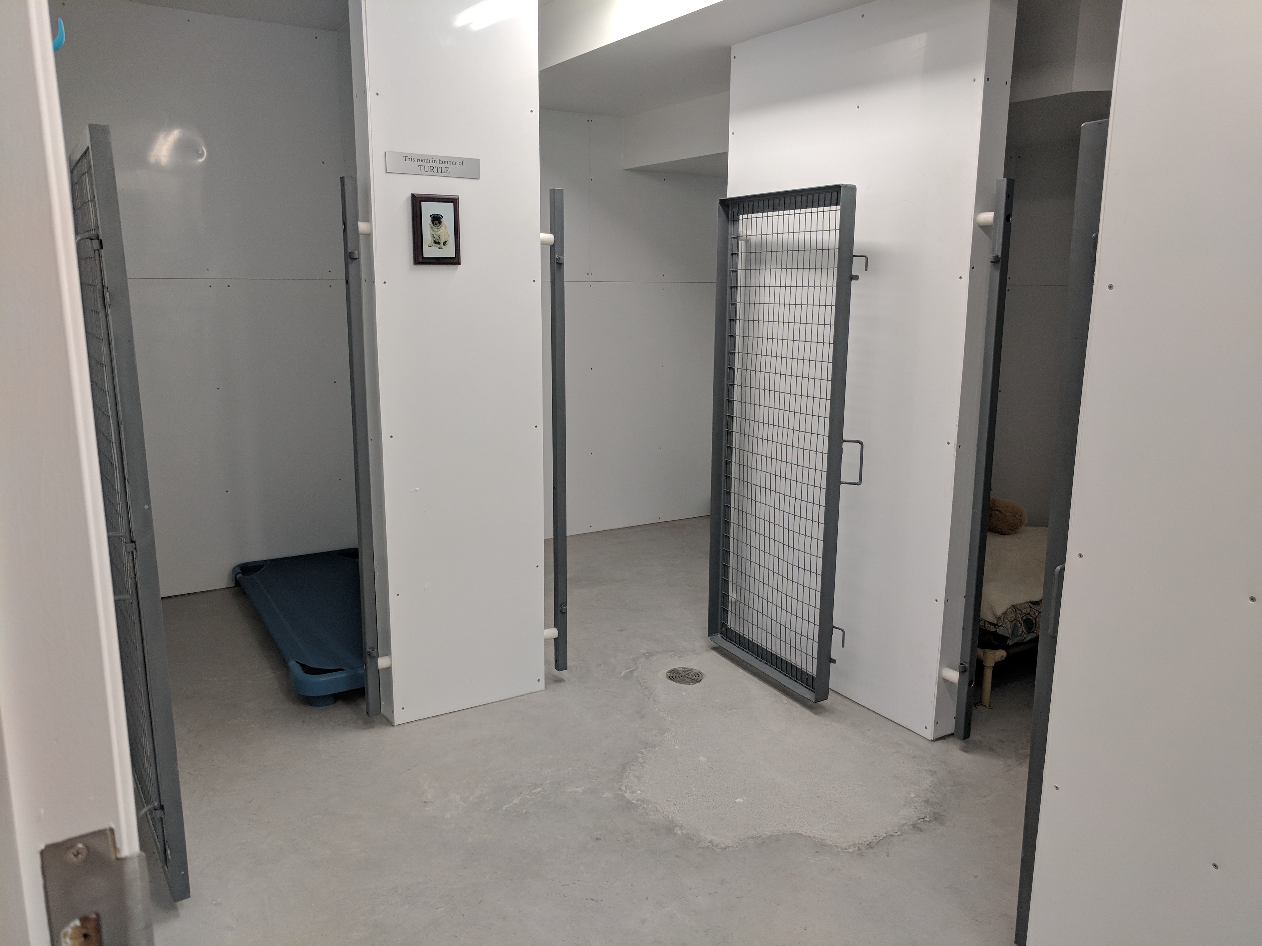 IHO dog room