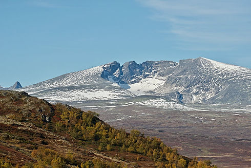 AdobeStock_405970082_736x491.jpeg