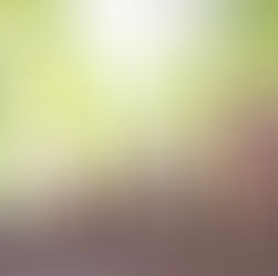 What is Lorem Ipsum?