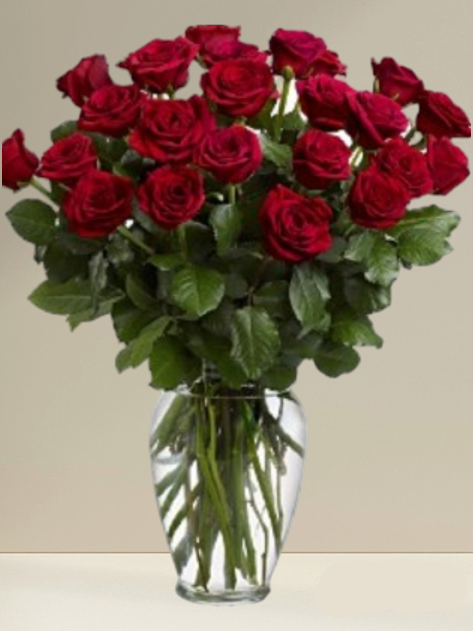 Standard Two Dozen Red Roses