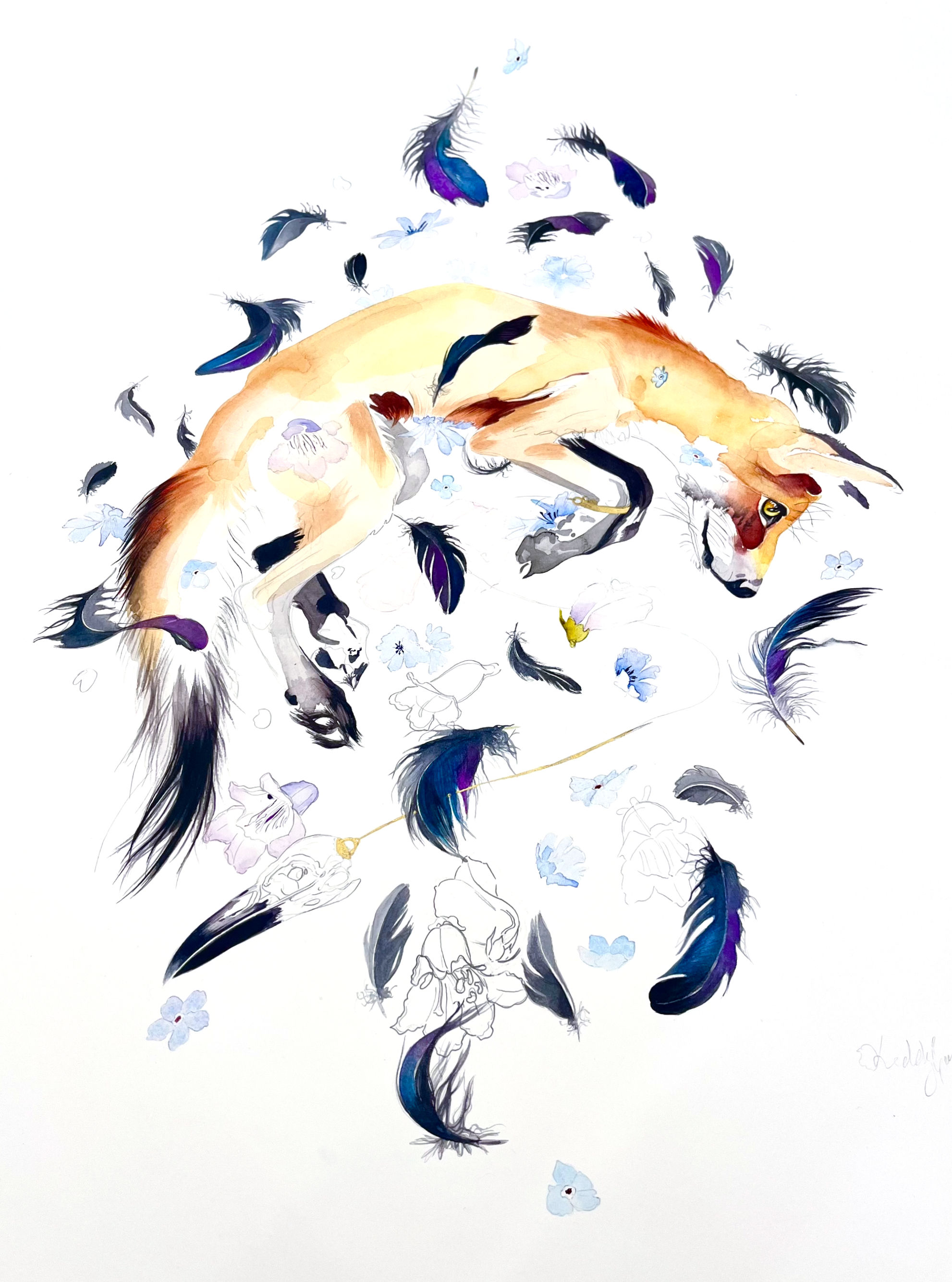 Firefox & Crow
