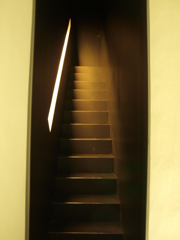 Picasa - Arcidiecesní museum, Olomouc