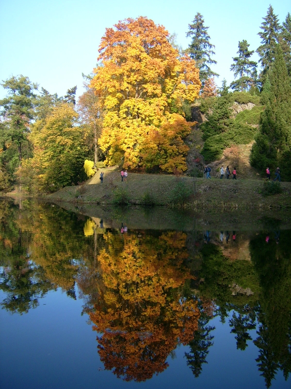 Picasa - Průhonický park, Praha