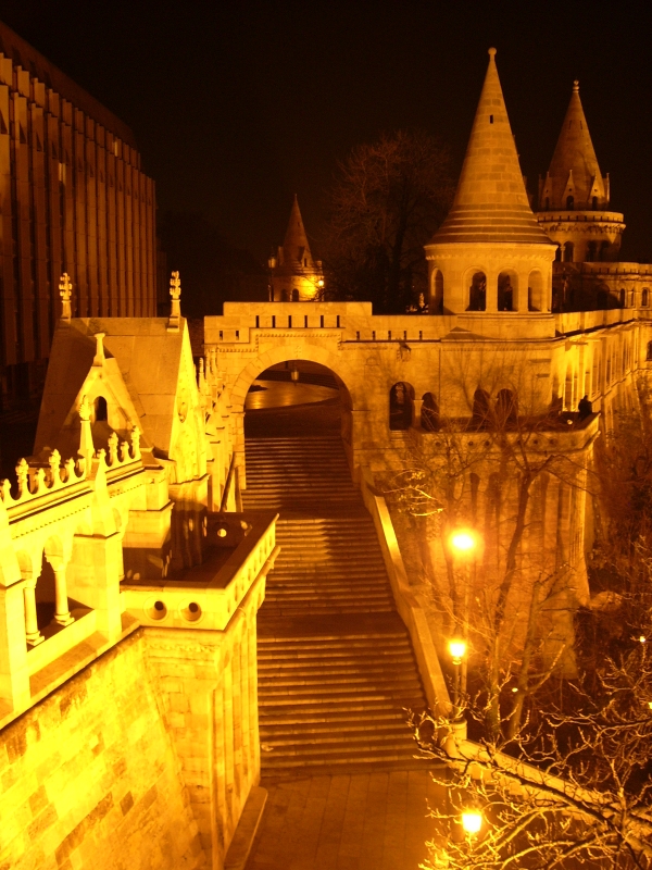 Picasa - Rybářská bašta - Budapešť