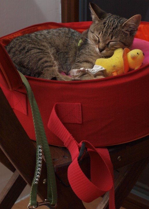 Picasa - 091016_Marcus_Gallery_Viktor_upravabVW165809.jpg