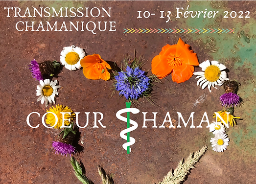 Stage Coeur Shaman.png