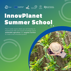key-visual InnovPlanet Summer School.png
